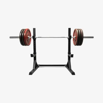 Picture of Saipro Premium Squat Adjustable Dip Stand And Gym Fitness