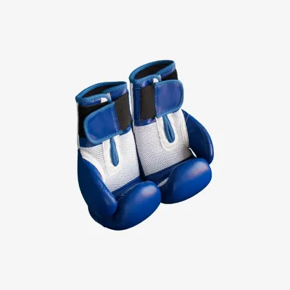 Picture of Everlast Pro Style Training Boxing Gloves