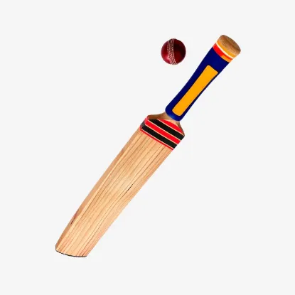 Picture of Funfive Cricket Kit For Kids Cricket Set With 1 Cricket Bat